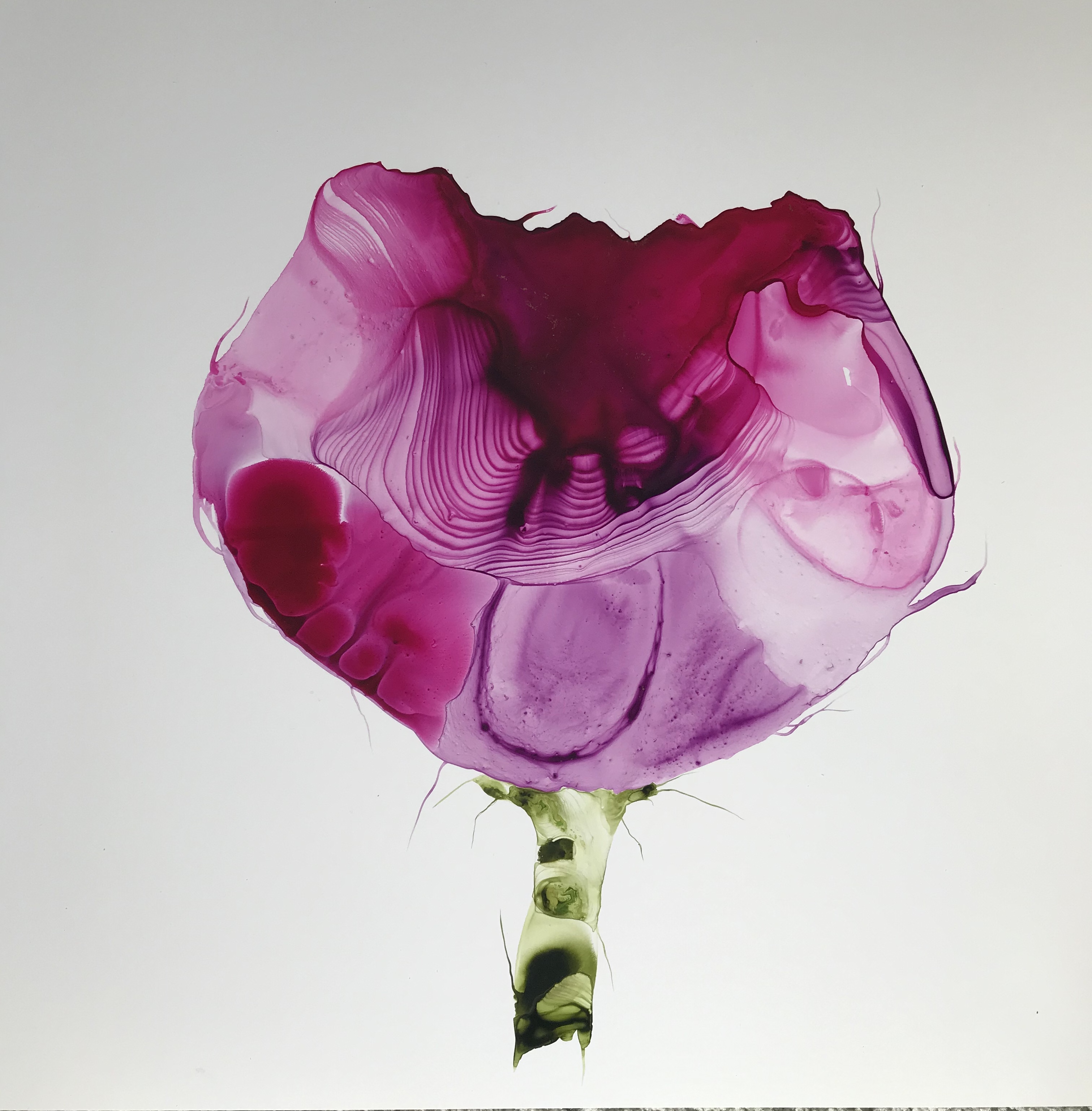 Susan Skelton - Mauve